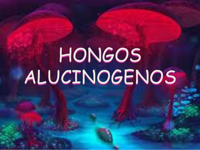 hongos alucinogenos nombres