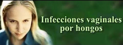 infecciones por hongos como la candida albicans